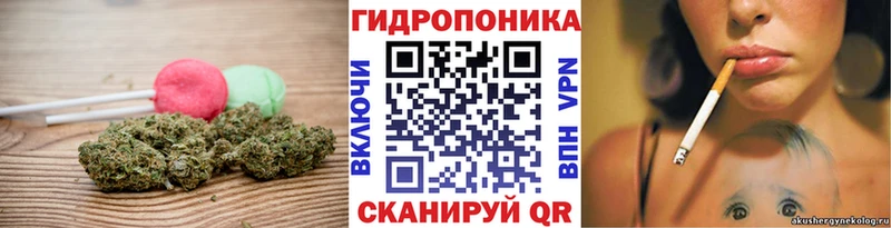 даркнет сайт  Ахтубинск  Canna-Cookies конопля 