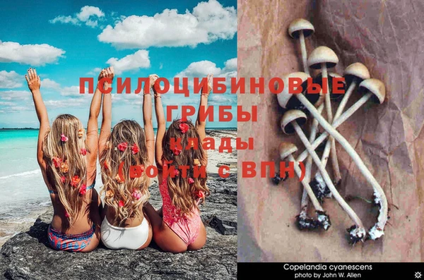 мет Армянск