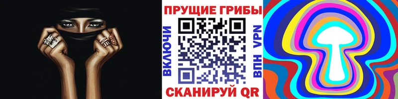 мега сайт  Ахтубинск  Галлюциногенные грибы Psilocybe  наркота 